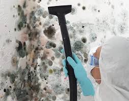 Reliable Algonac, MI Mold Removal Services Solutions